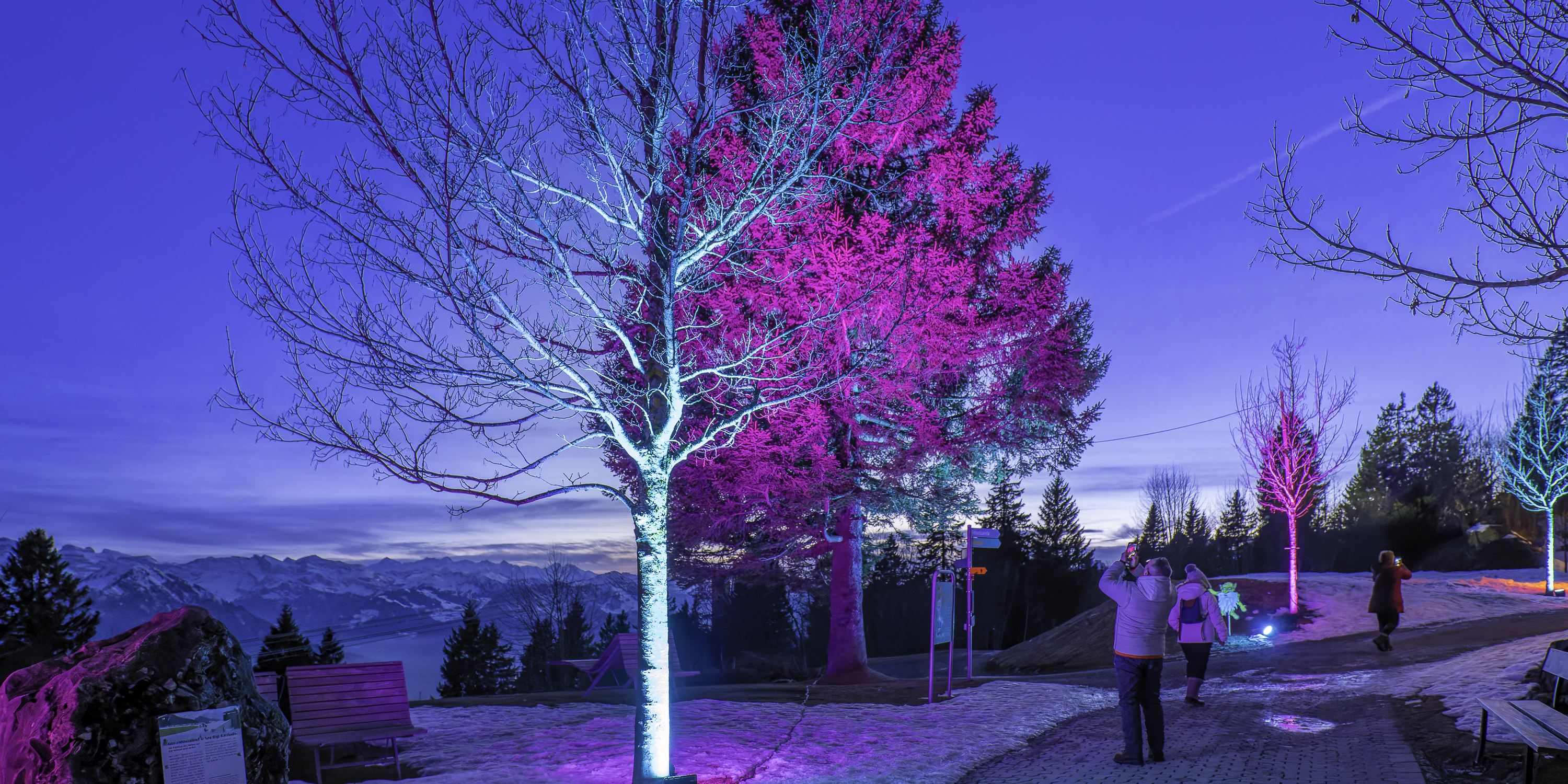 rigi_lichtvestival_2026_dsc1429