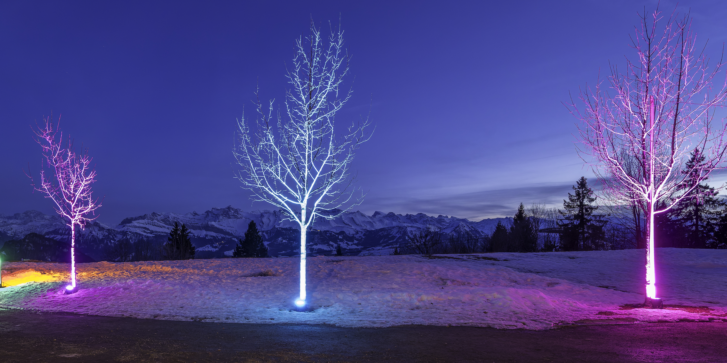 rigi_lichtvestival_2026_dsc1462