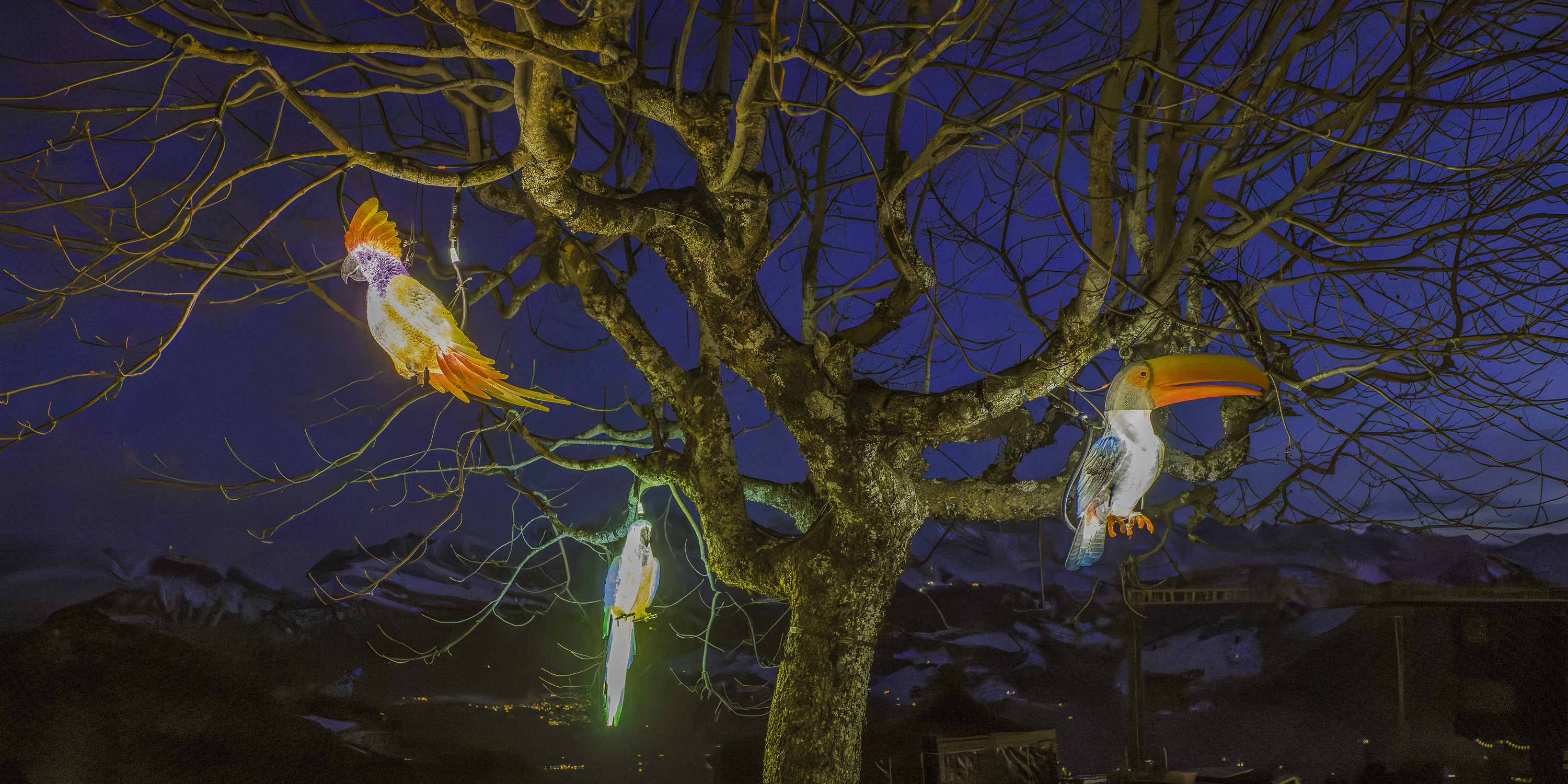 rigi_lichtvestival_2026_dsc1473