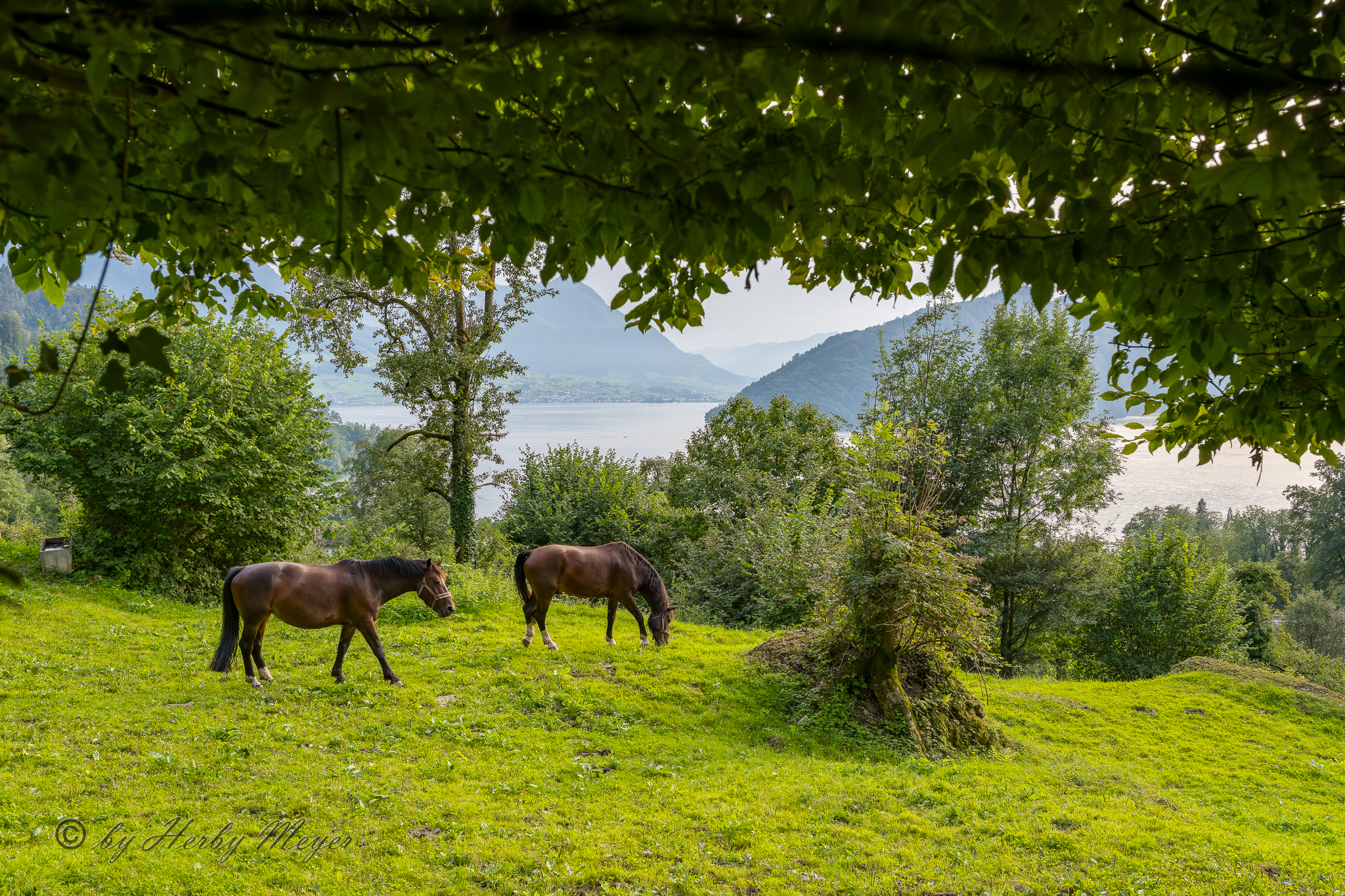 aus-und_weitsicht-dsc_5246