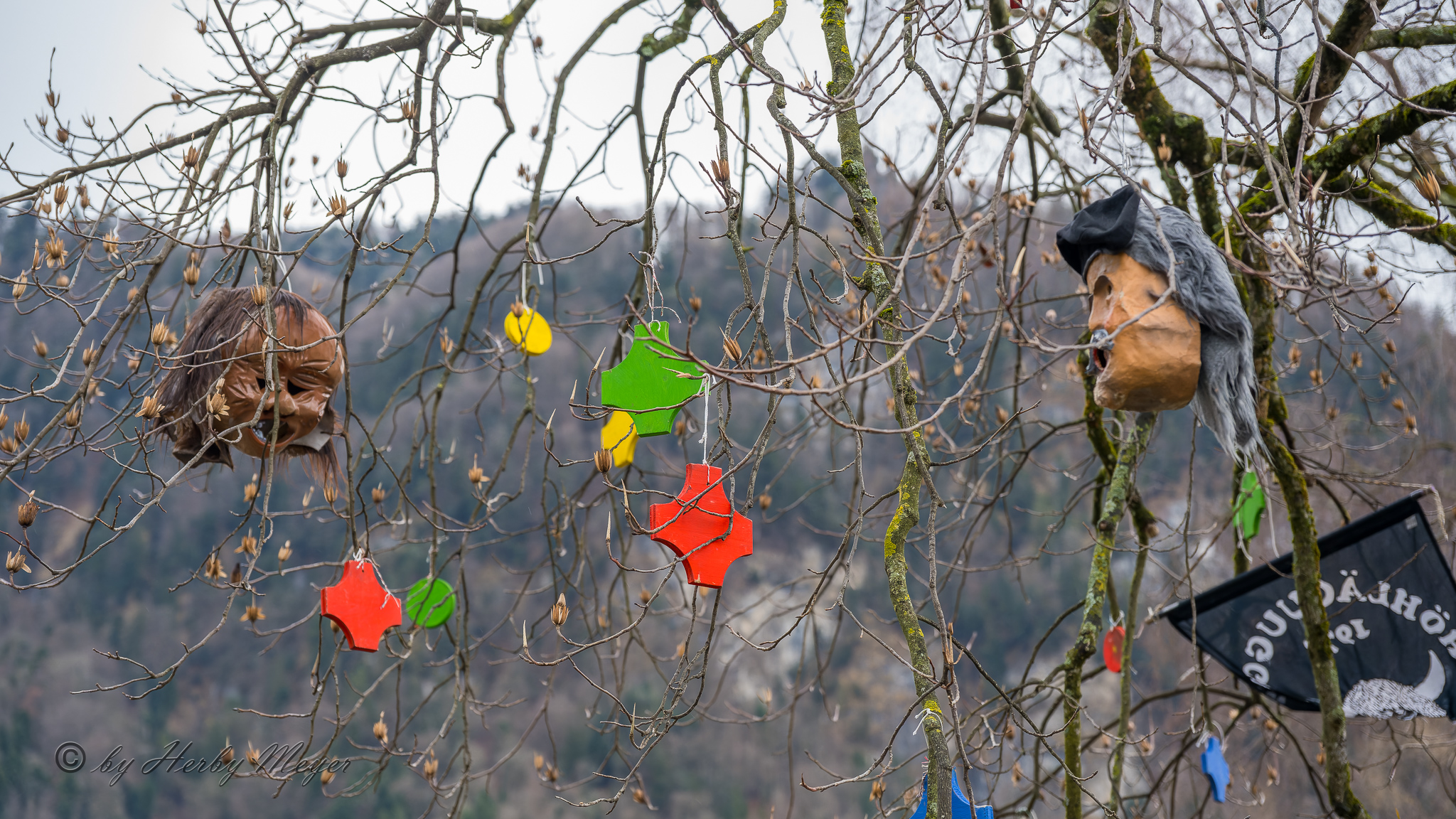 fasnacht_vitznau_2026_hjm6931