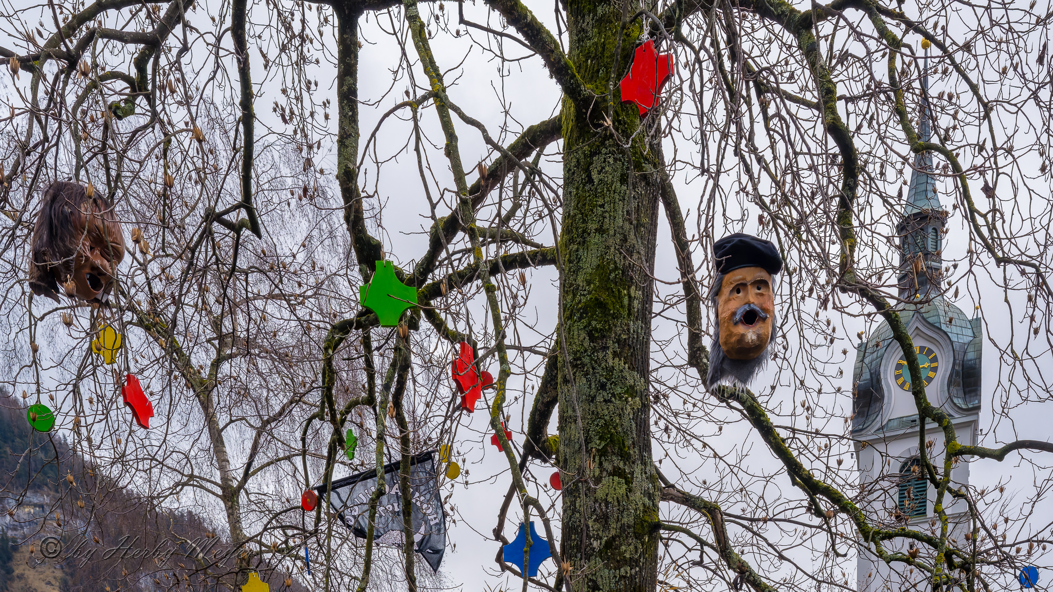 fasnacht_vitznau_2026_hjm6933