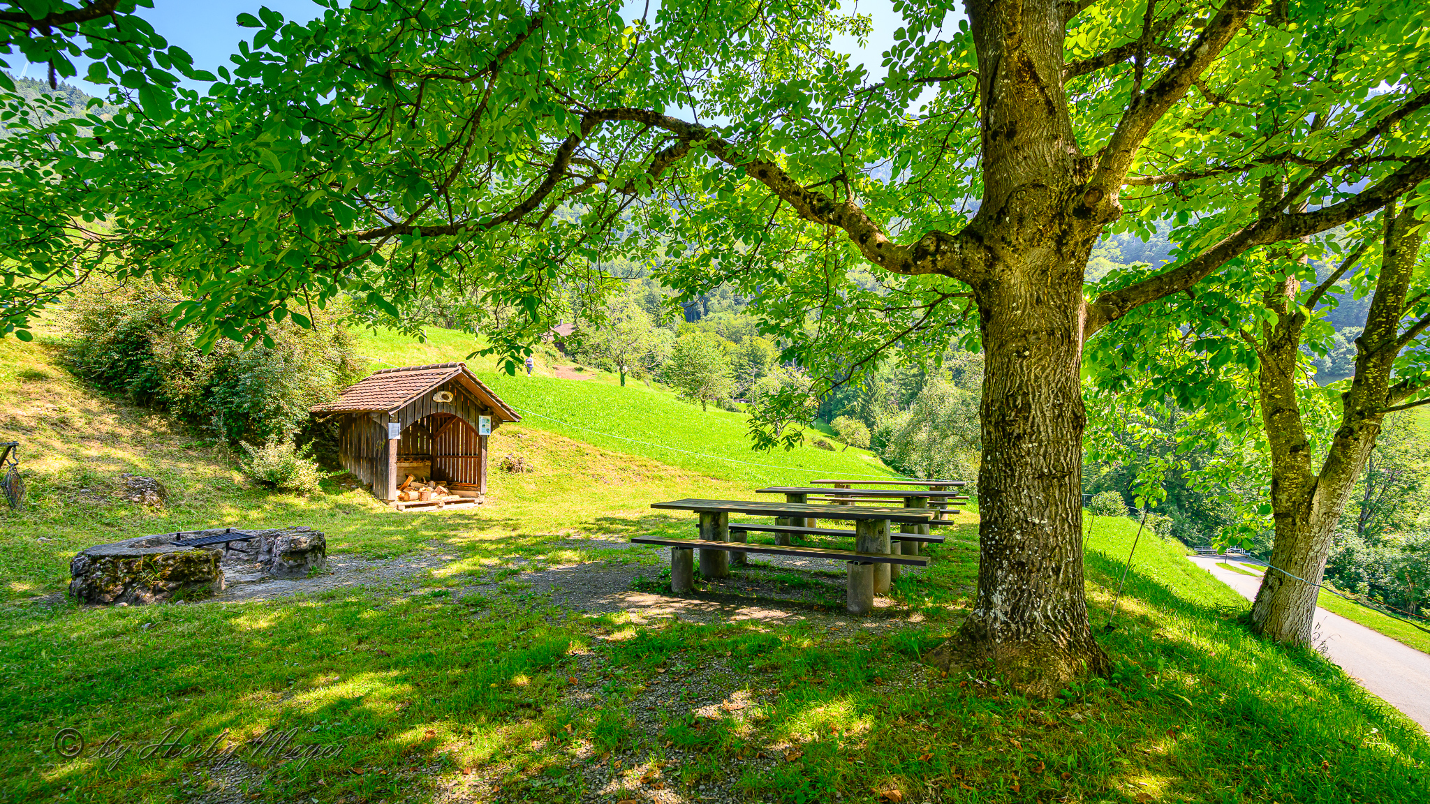grillstelle_vitznau_5346