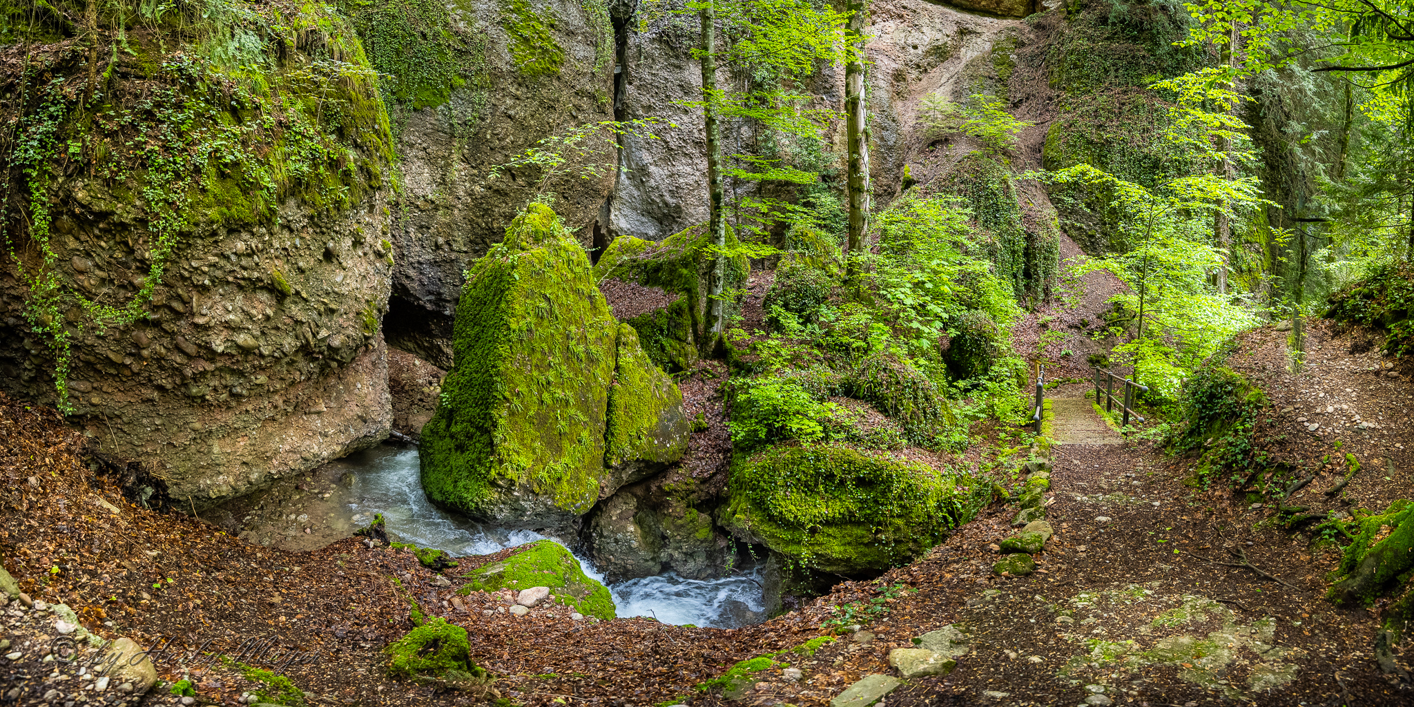 vitznau_waldbach_2186-pano