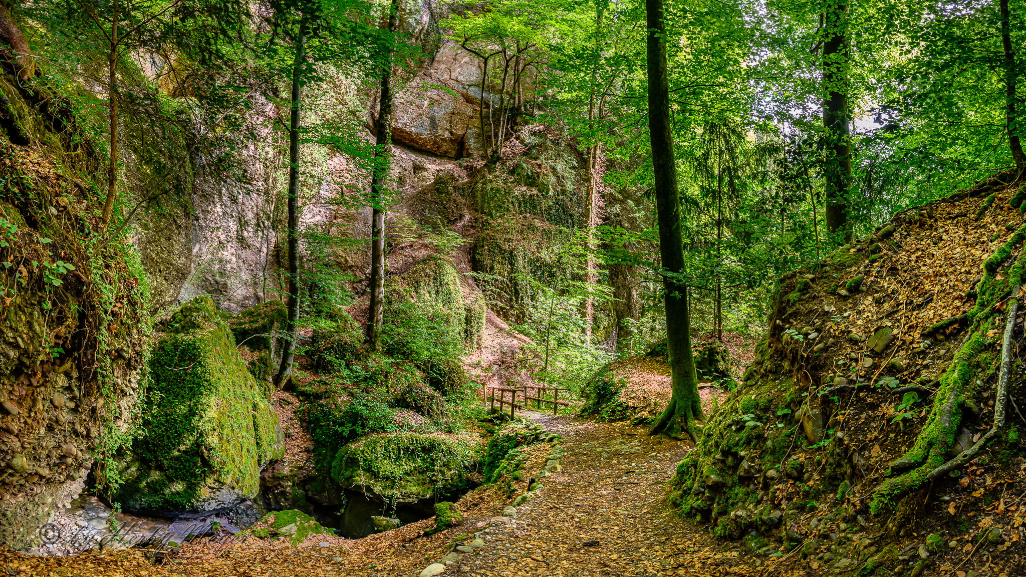 vitznau_waldbach_4107-pano