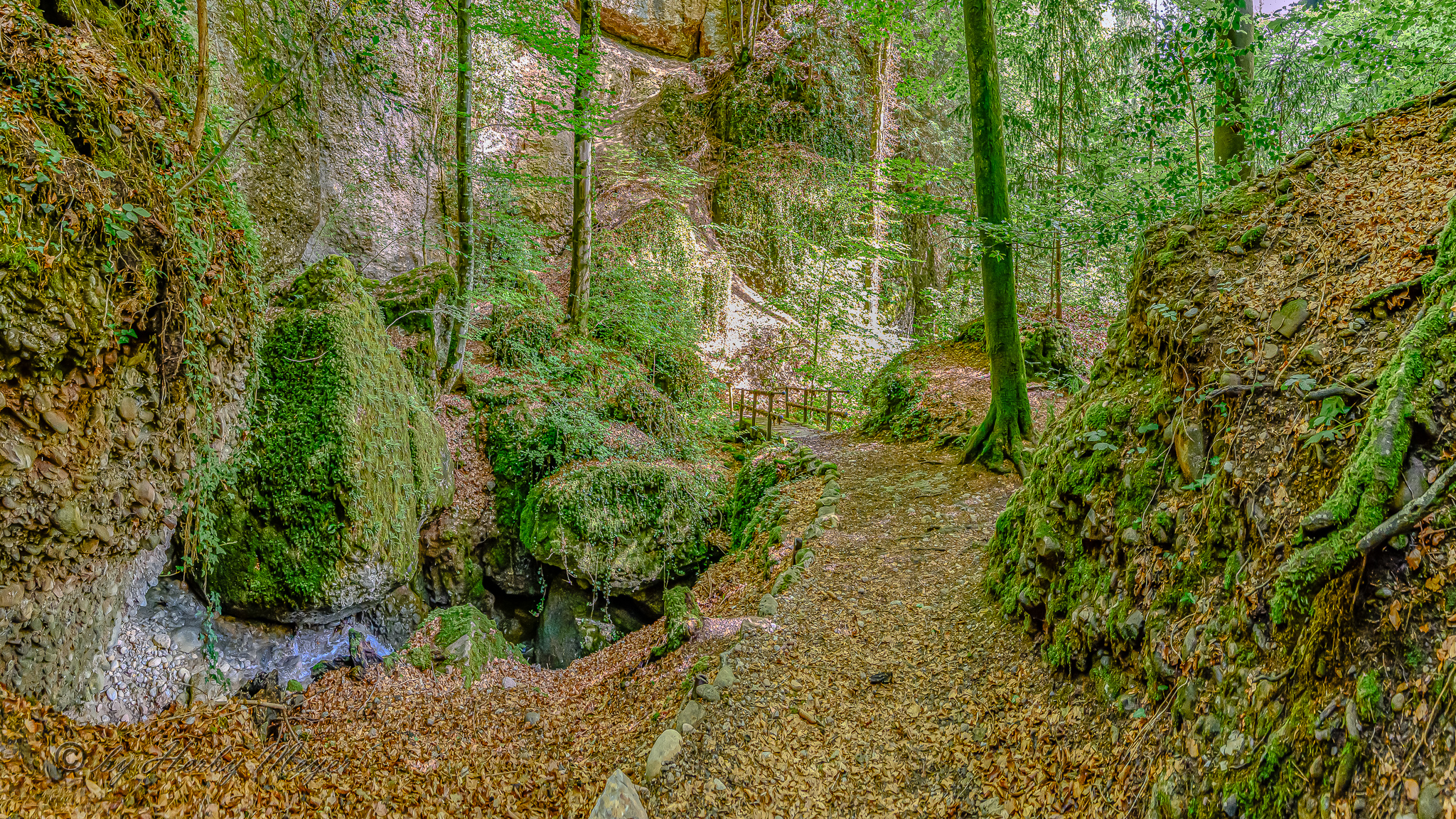 vitznau_waldbach_4120-pano-1