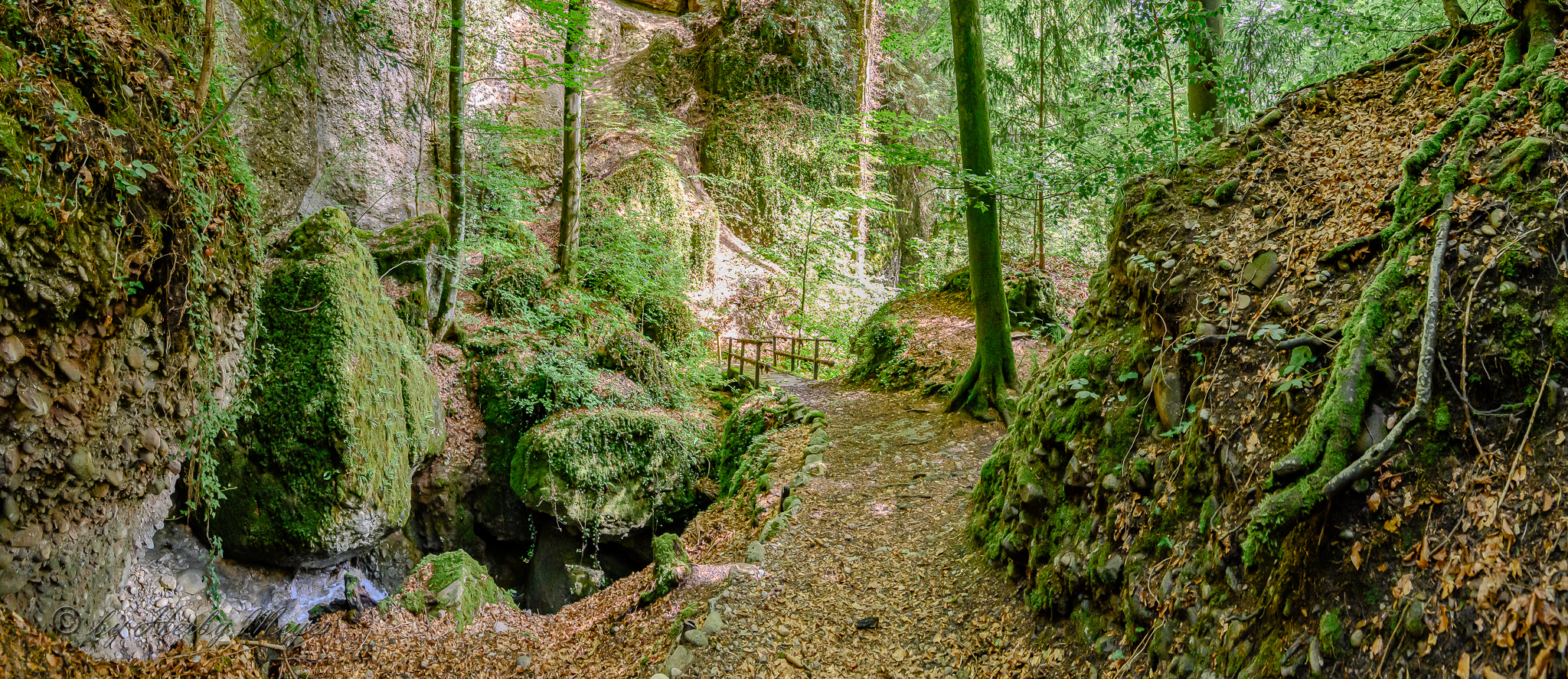 vitznau_waldbach_4120-pano-3
