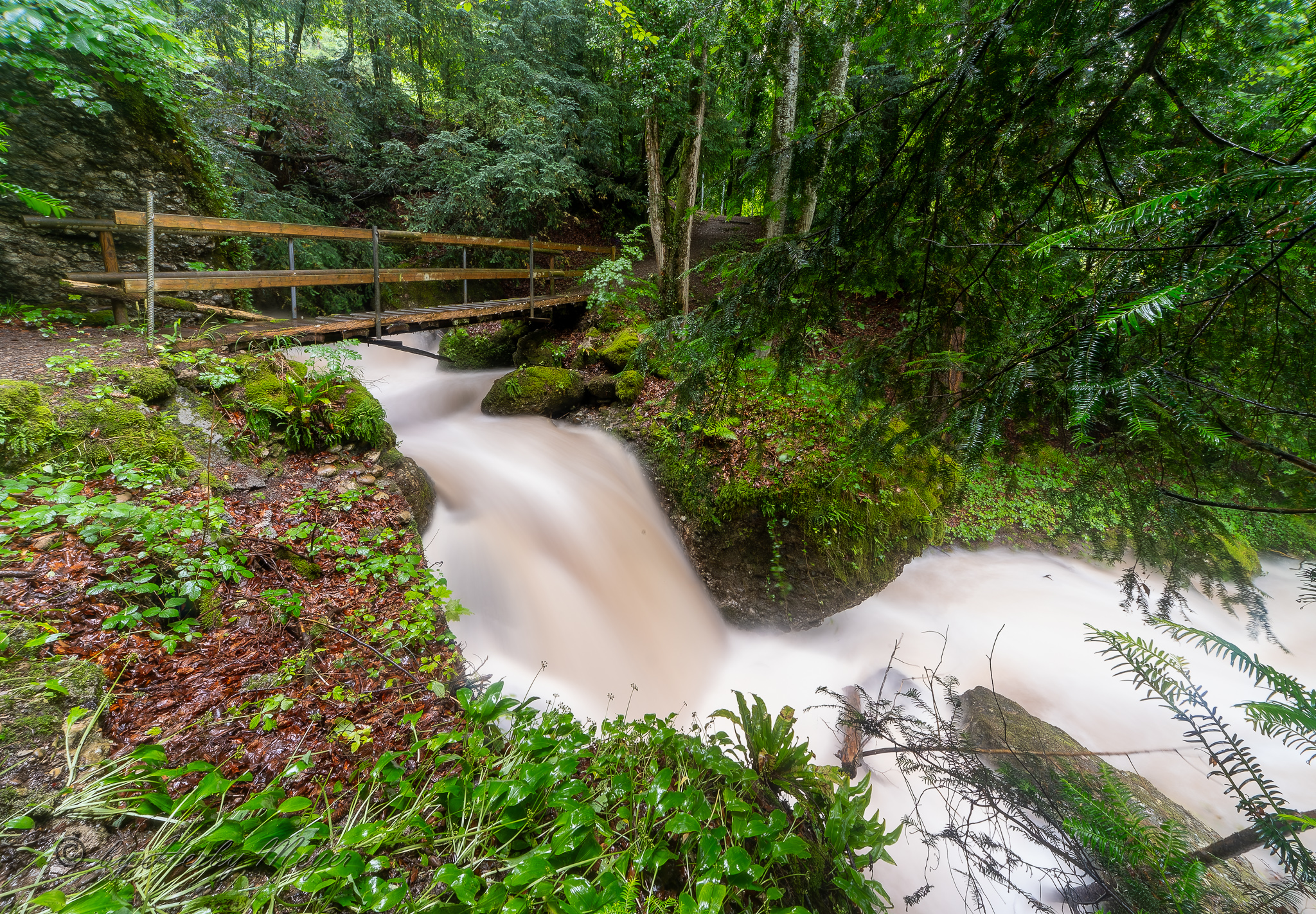 vitznau_waldbach_6162