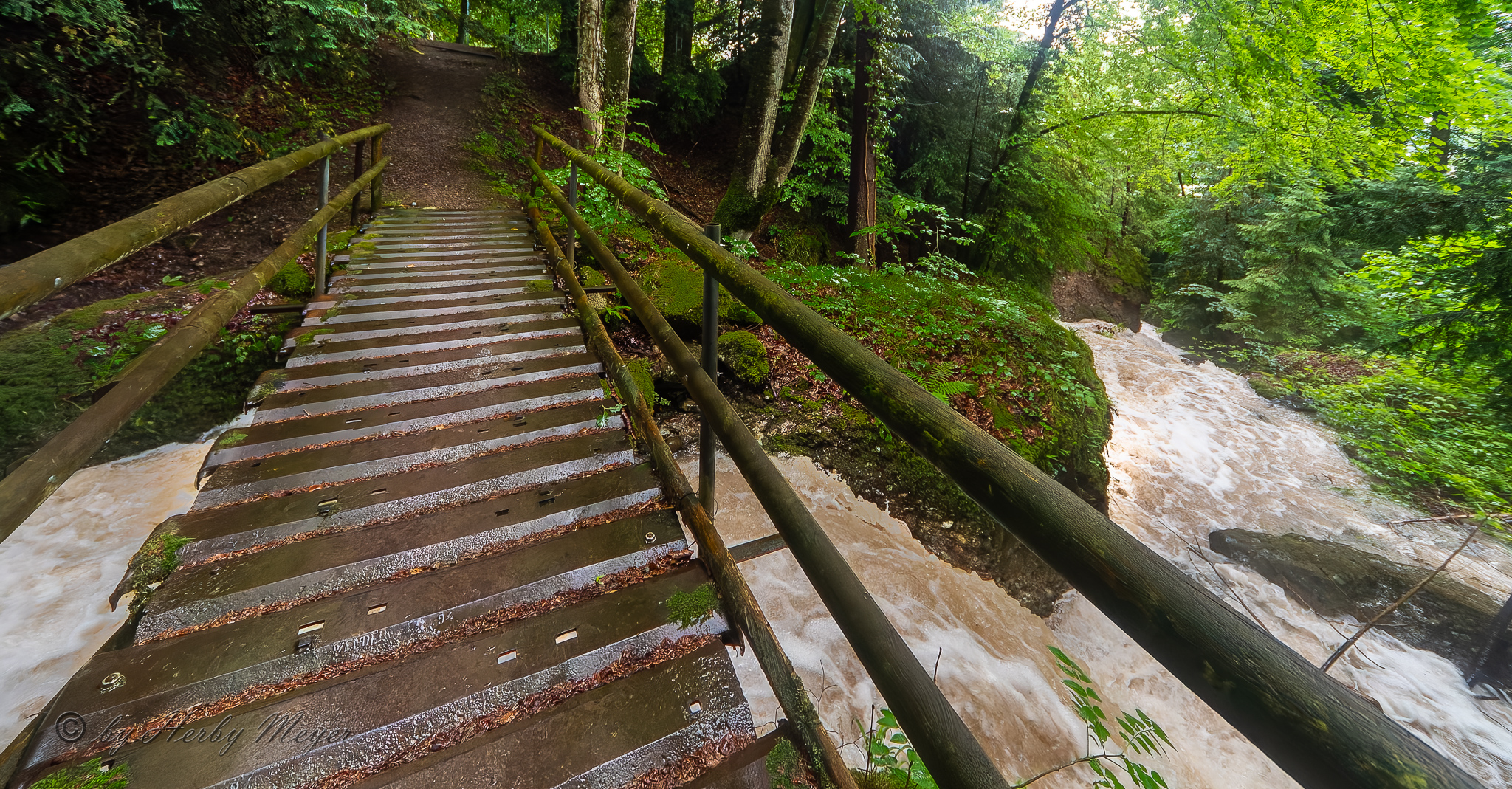 vitznau_waldbach_6171